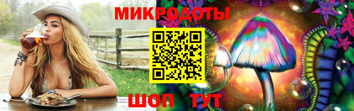 Галлюциногенные грибы прущие грибы Геленджик
