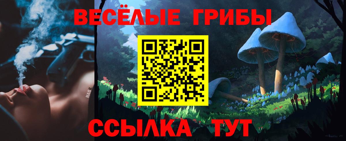 Псилоцибиновые грибы MAGIC MUSHROOMS  Псилоцибиновые грибы Magic Shrooms  даркнет сайт  Геленджик  Вход с VPN 